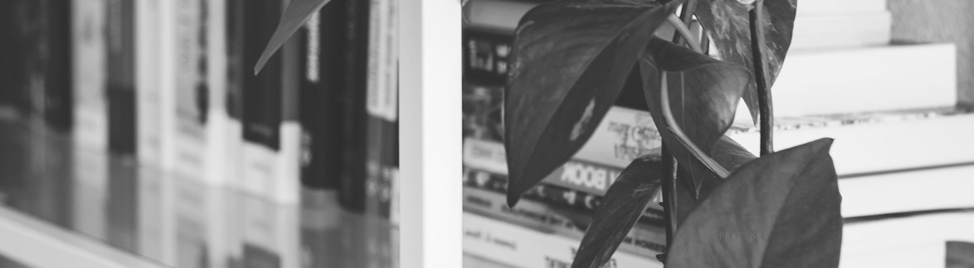 聯(lián)系權(quán)宿